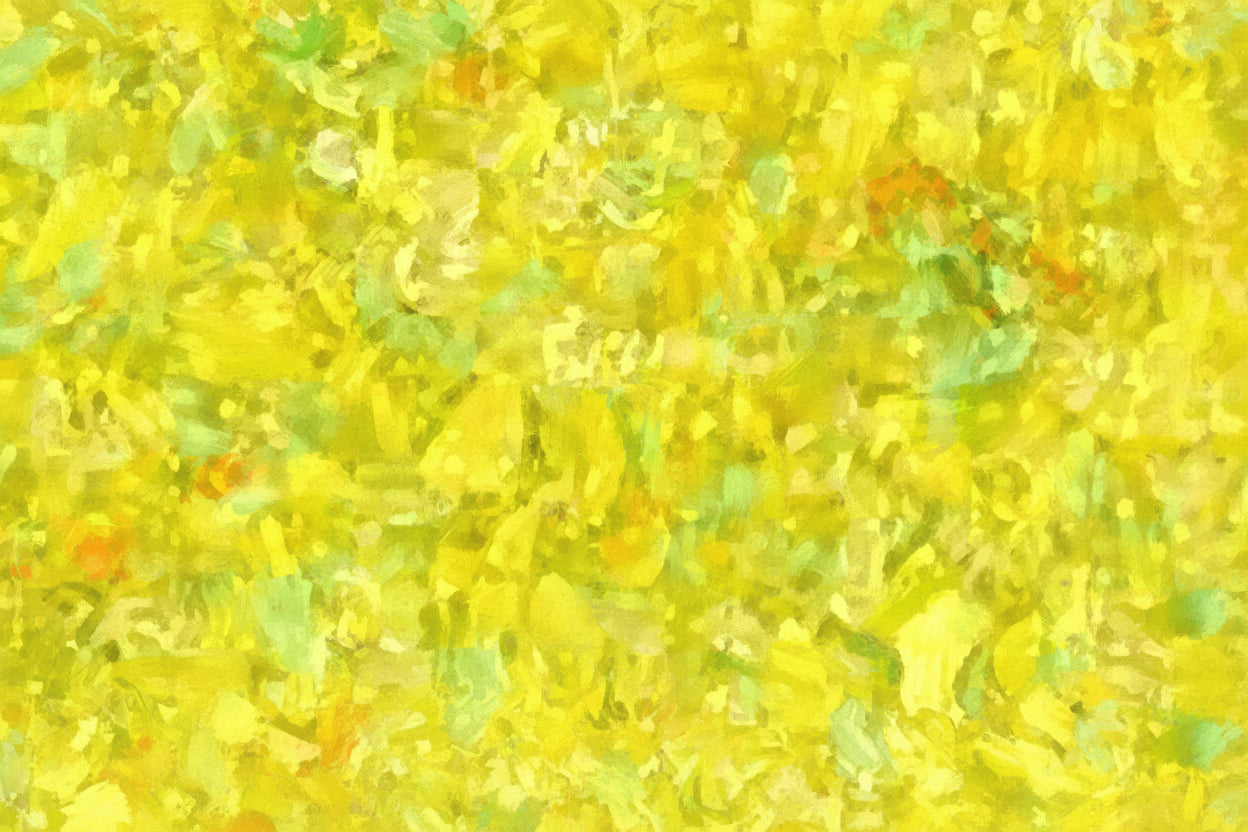 Daffodil