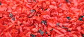 Ruby Slipper